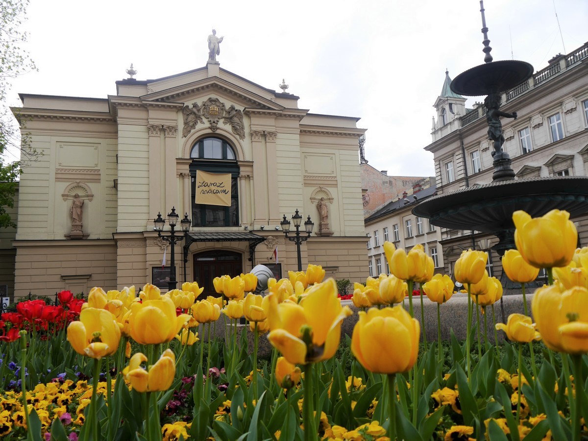 Na pierwszym planie kwietnik pełen żółtych i czerwonych tulipanów. W tle zabytkowa fasada Teatru Polskiego. W oknie, w centrum fasady teatru - baner z napisem: ZARAZ WRACAM
