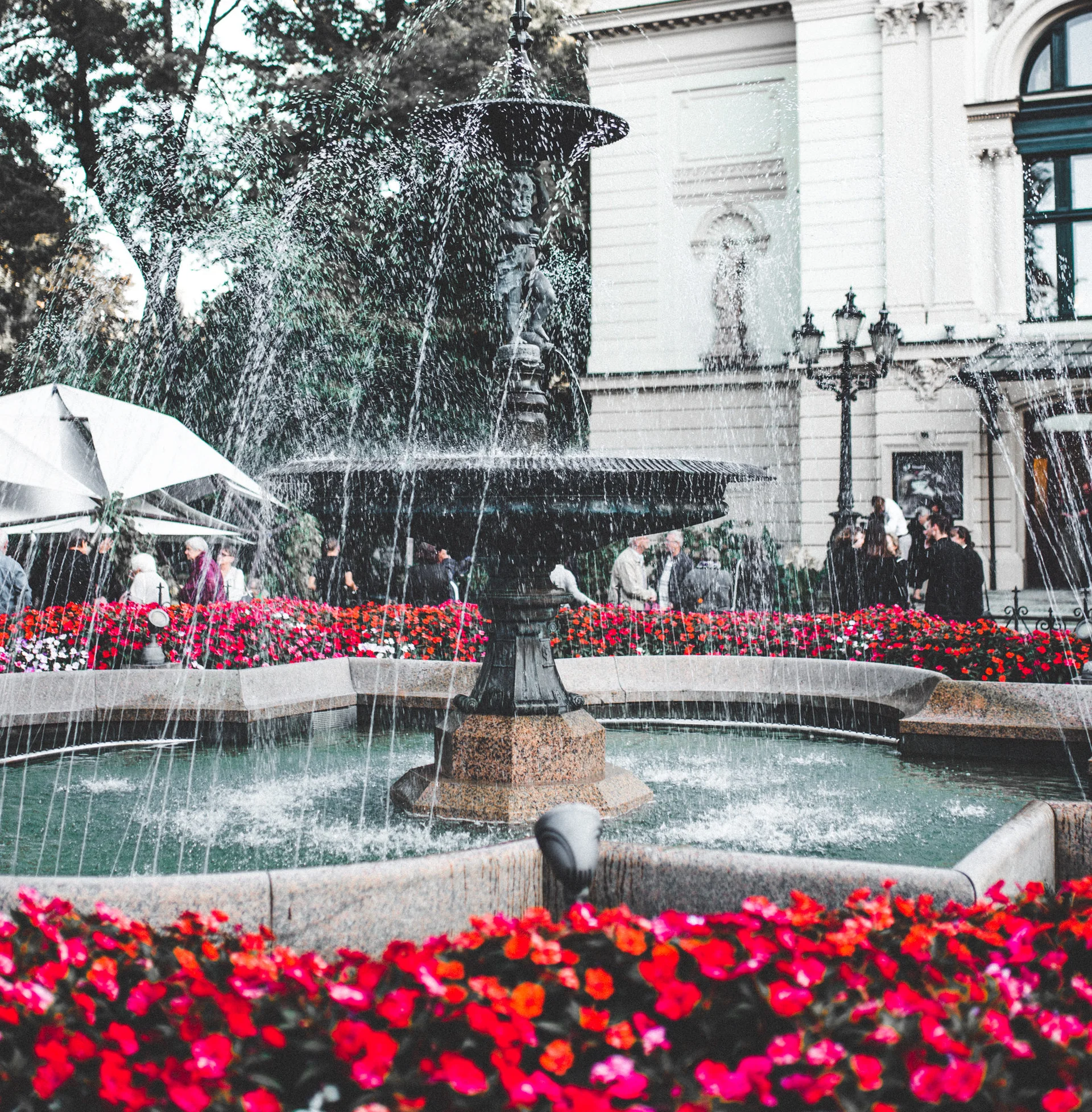 Z zabytkowej żeliwnej fontanny przed Teatrem Polskim tryska woda. Wokół niej kwitną czerwone kwiaty. 